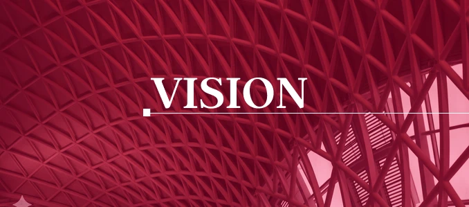 VISION